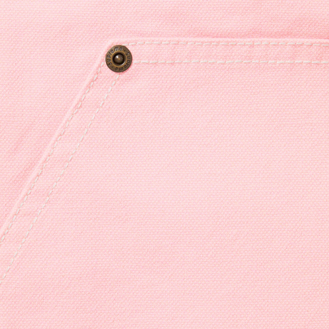 Double Knee Canvas Painter Pant view 3